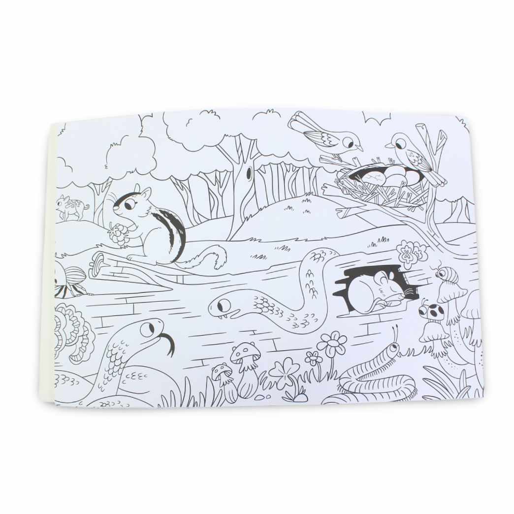 Igloo Books Glow Colouring Nature Book - Assortments