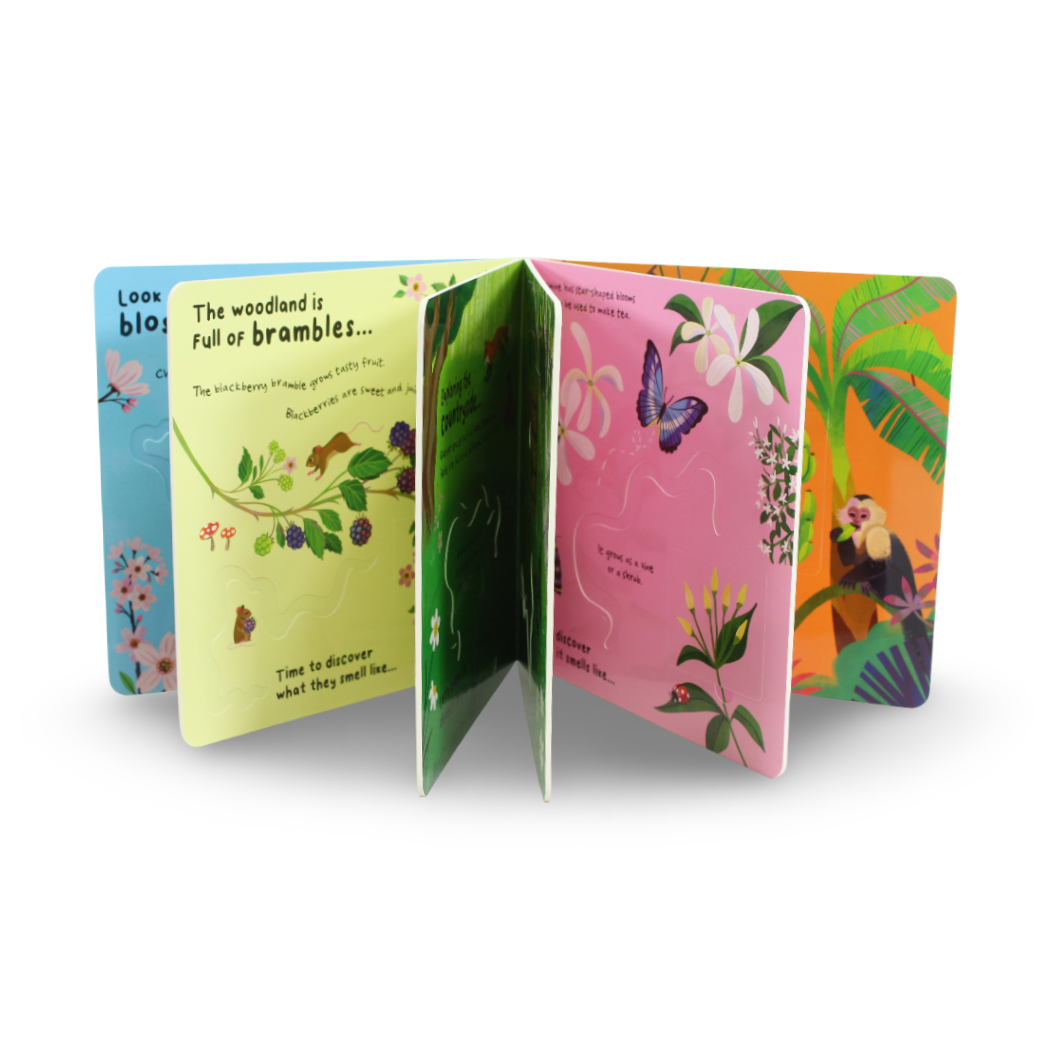 Igloo Books "What's That Nature Smell?" Board Book - Assortments