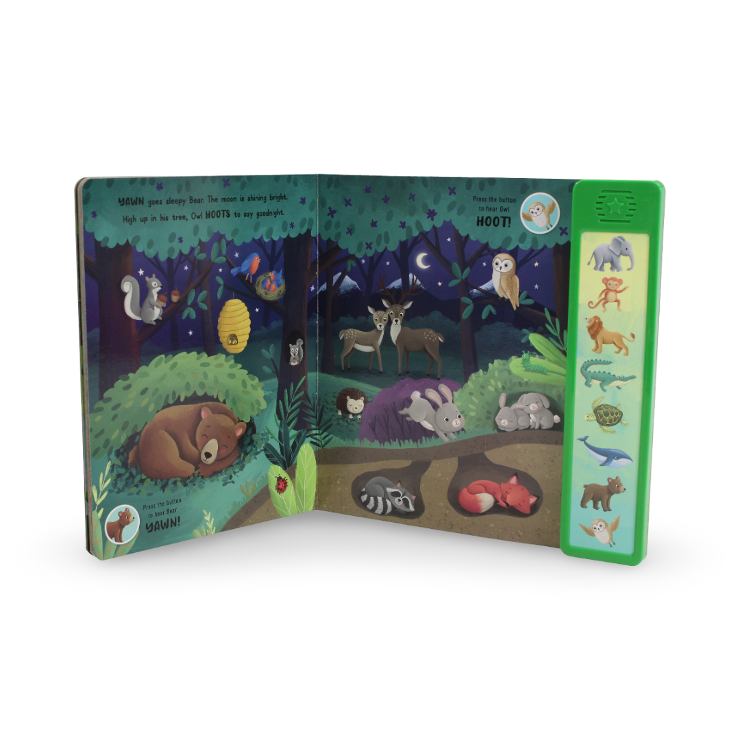 Igloo Books "Animals Splash and Rooaar!" Board Book - Assortments