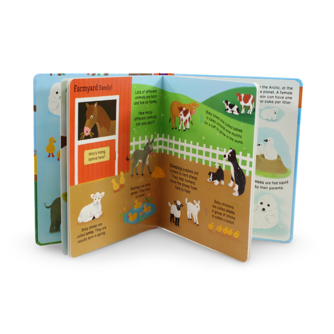 Igloo Books First Reference Baby Animals Board Book - Assortments