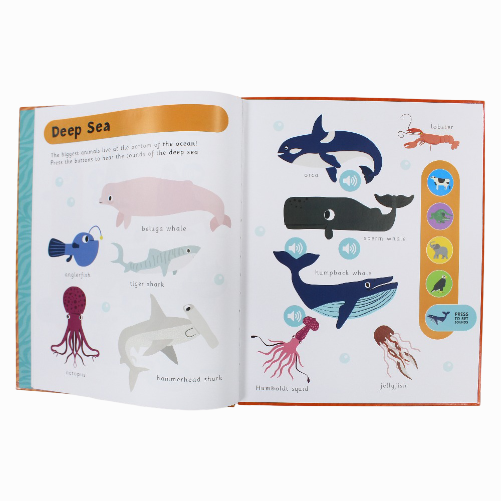 My First Animals (Early Learning Sound Book) – Roars, Squawks & Snaps