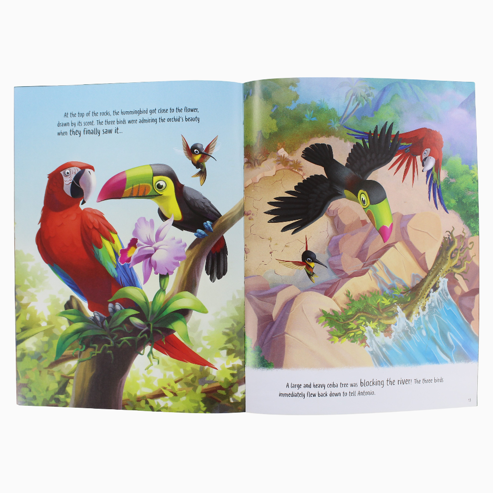 Disney Encanto: Mystery in the Rainforest - Assortments - Phoenix International Publications