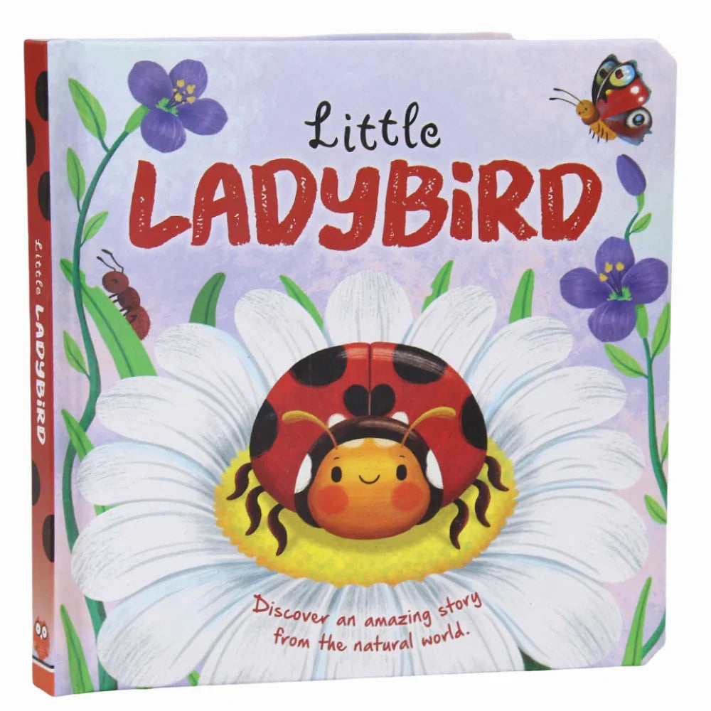 Little Ladybird – Discover the Life of a Ladybird