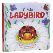 Little Ladybird – Discover the Life of a Ladybird