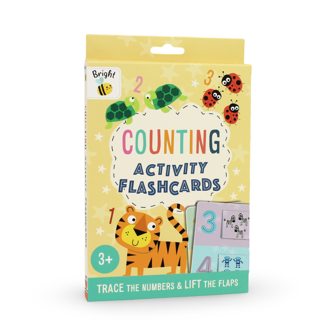 Igloo Books Counting Activity Flashcards