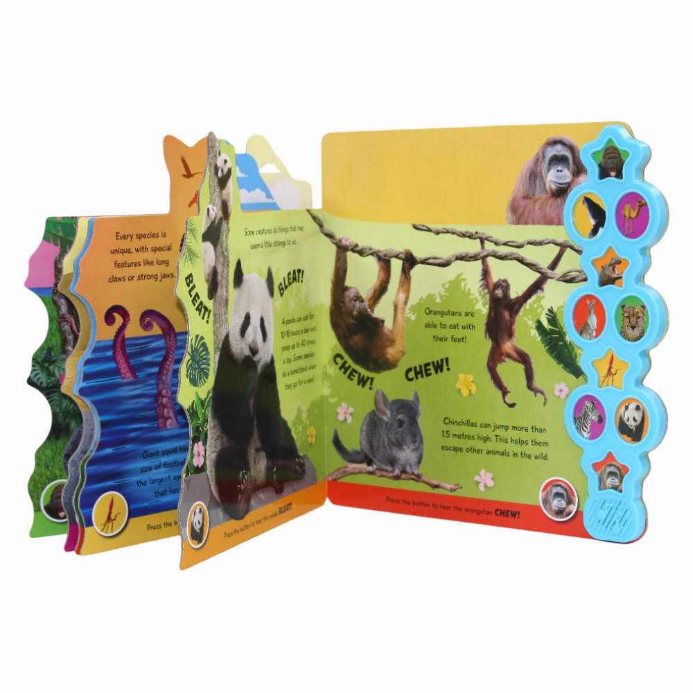 Incredible Animals (My First Tabbed Sound Book)