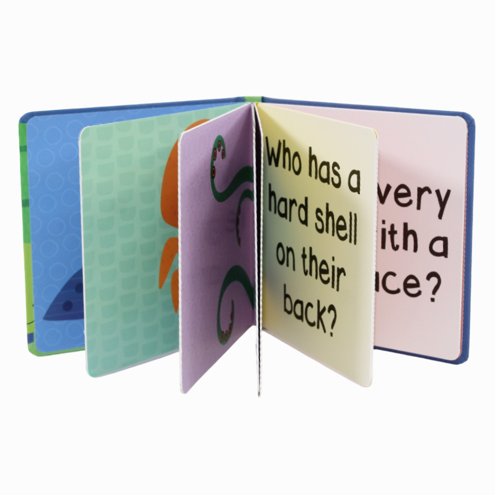 Who Am I? Under the Sea Board Book