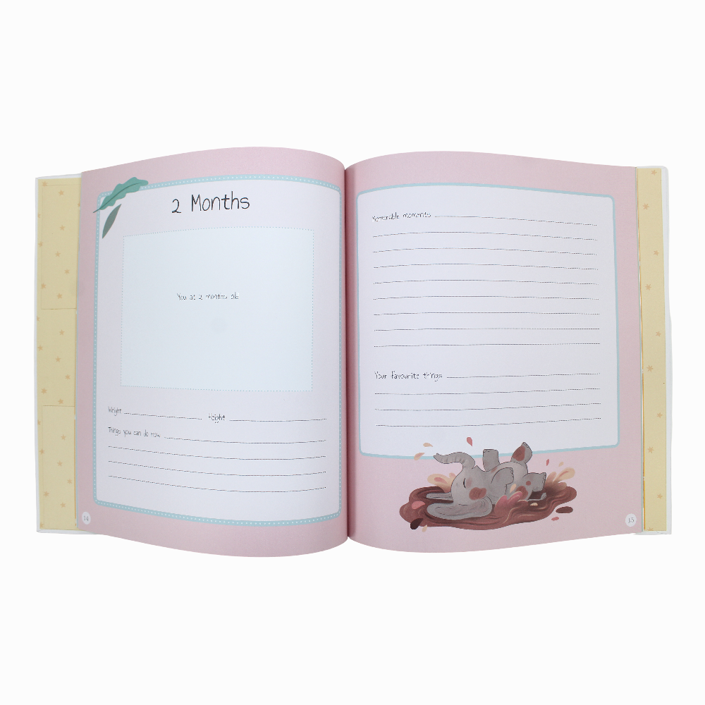 Baby's First Year: Hardcover - Assortments - Spark Pool