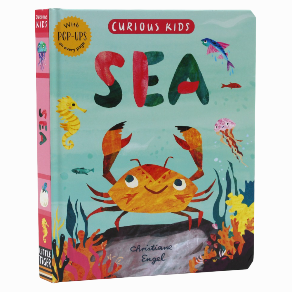Curious Kids: Sea