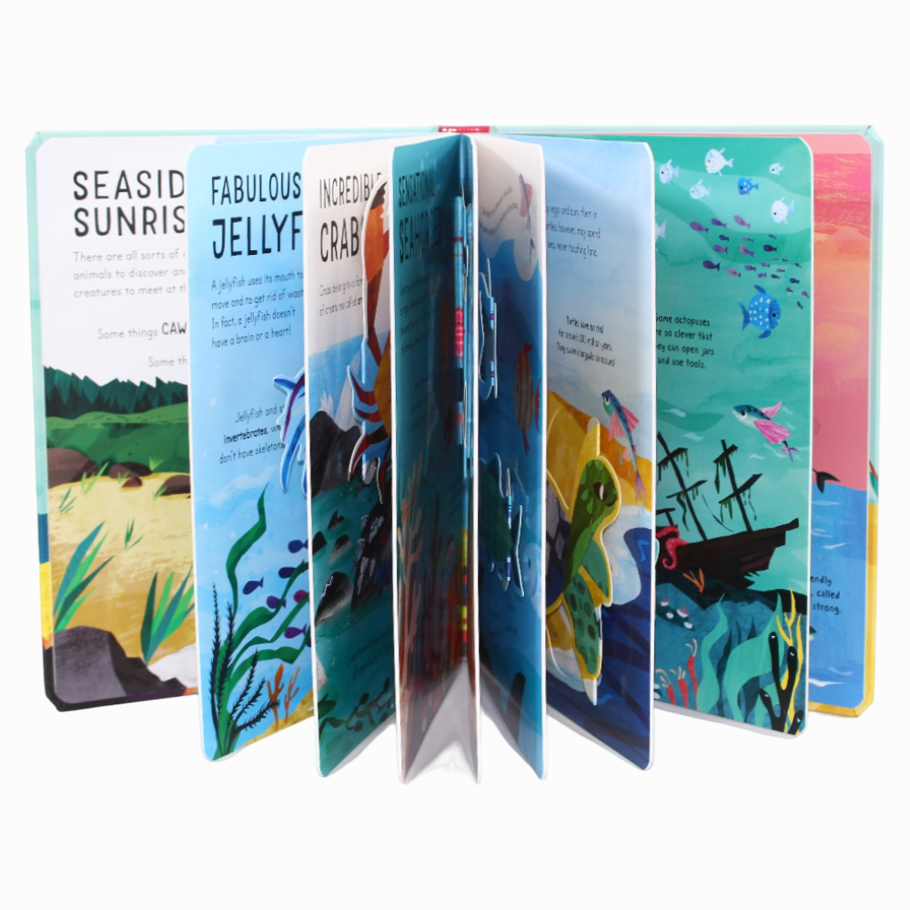 Curious Kids: Sea
