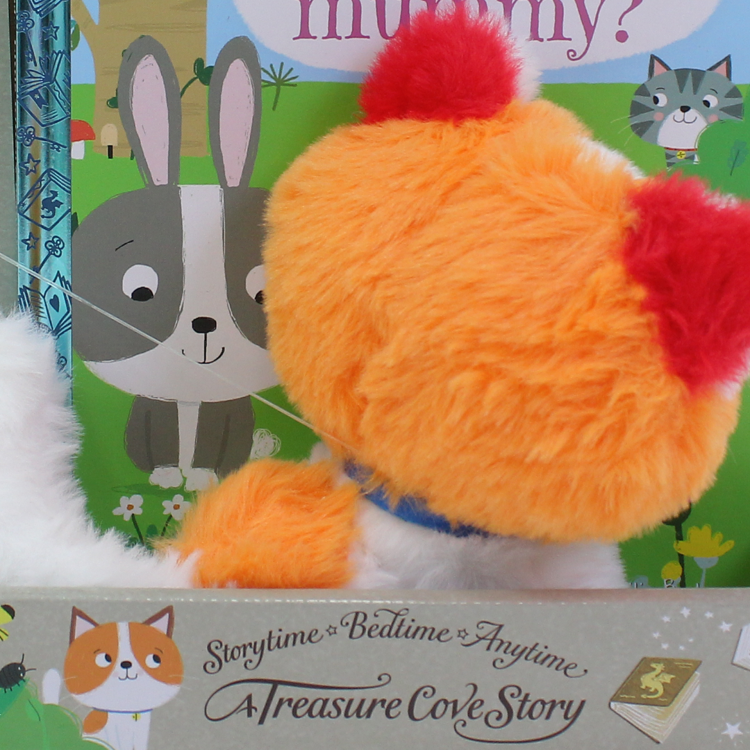 Centum Books "Can you find... Little Kitten's Mummy?"