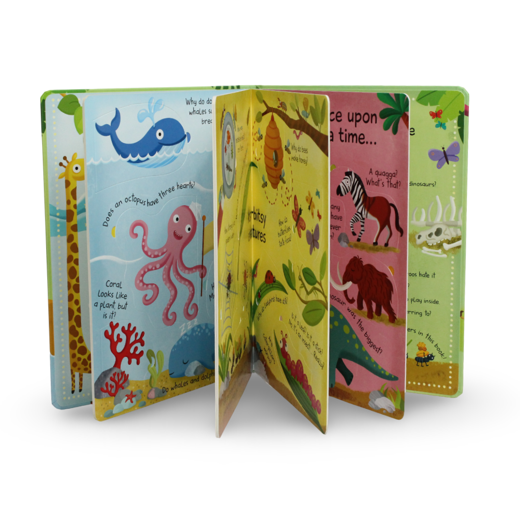 Yoyo Books My Big Book of Answers: Animals Board Book - Assortments