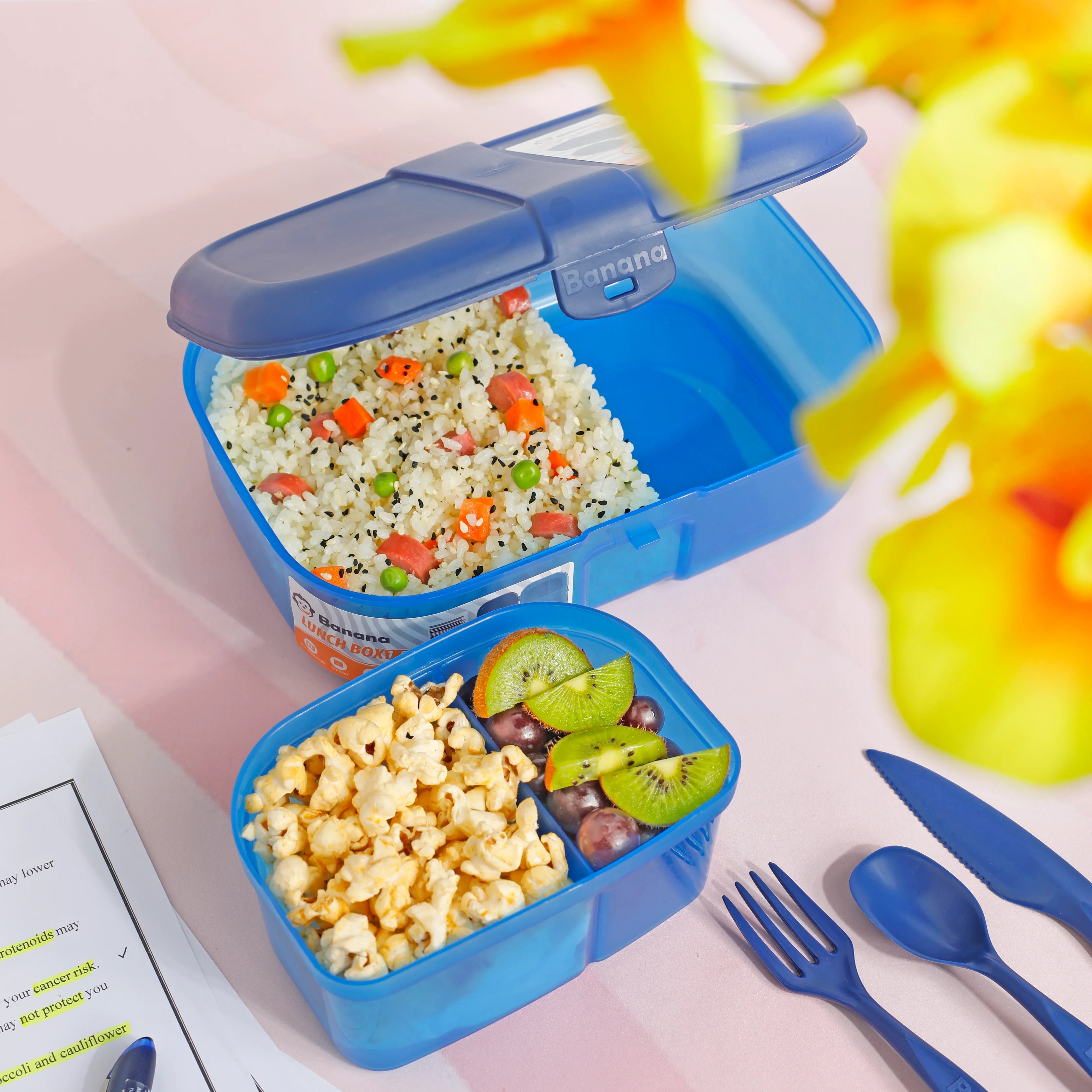 Blue Lunch Box