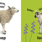 Baby Touch and Feel Farm Animals - Ourkids - DK