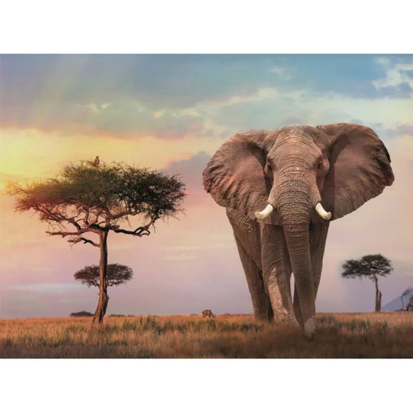 Clementoni African Sunset High Quality Collection Puzzle – 500Pcs