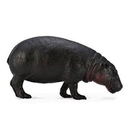 Collecta Figure Hippo Pygmy (88686) - Ourkids - CollectA