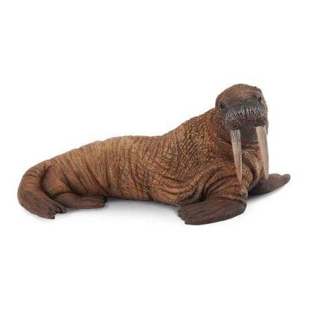 Collecta Miniature Walrus Animal Figure - Ourkids - Collecta