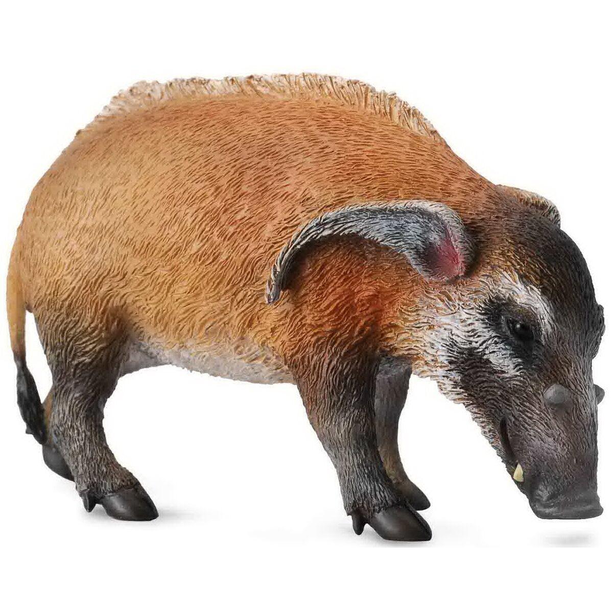 CollectA Red River Hog - Ourkids - Collecta