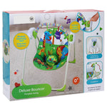 Deluxe Bouncer Portable Swing - Ourkids - OKO