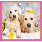 Dogs In The Bath 106 Pcs - Ourkids - Trefl