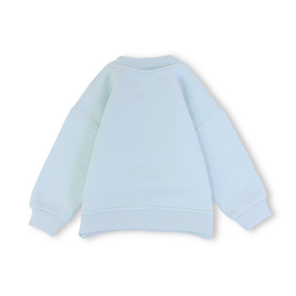 Baby Boys Sweatshirt – Aqua with ZOO Print