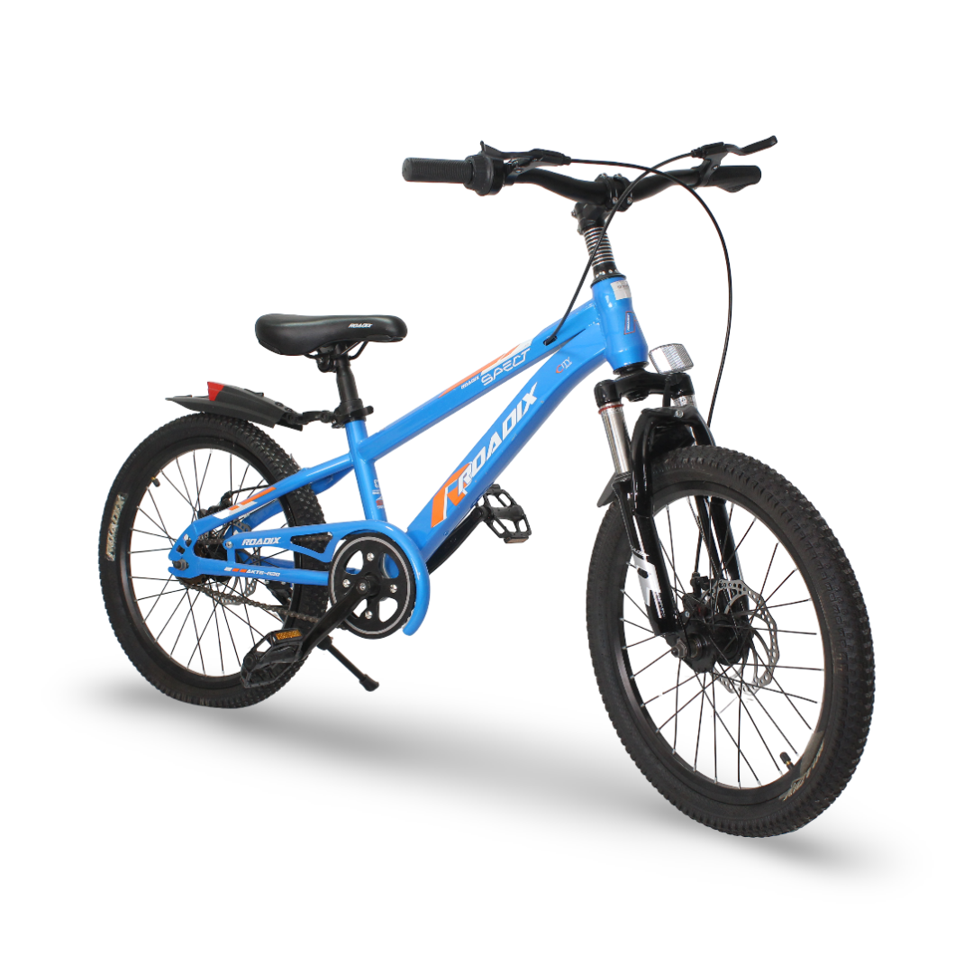 Boys Rodix Bicycle With Training Wheels – 20 Inch