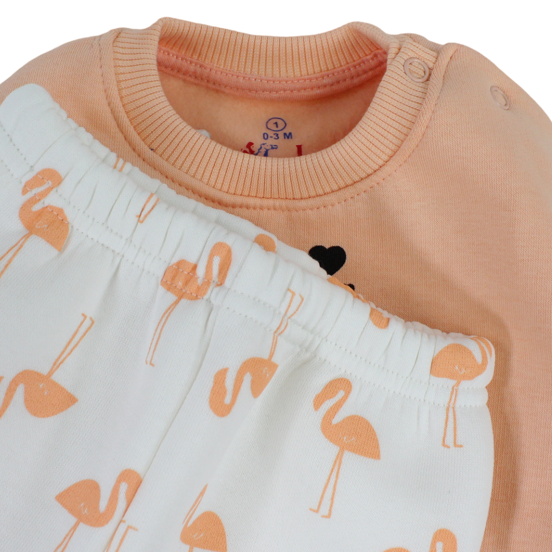 Baby Girls Long-Sleeved Pajama – Salmon with Flamingo Print