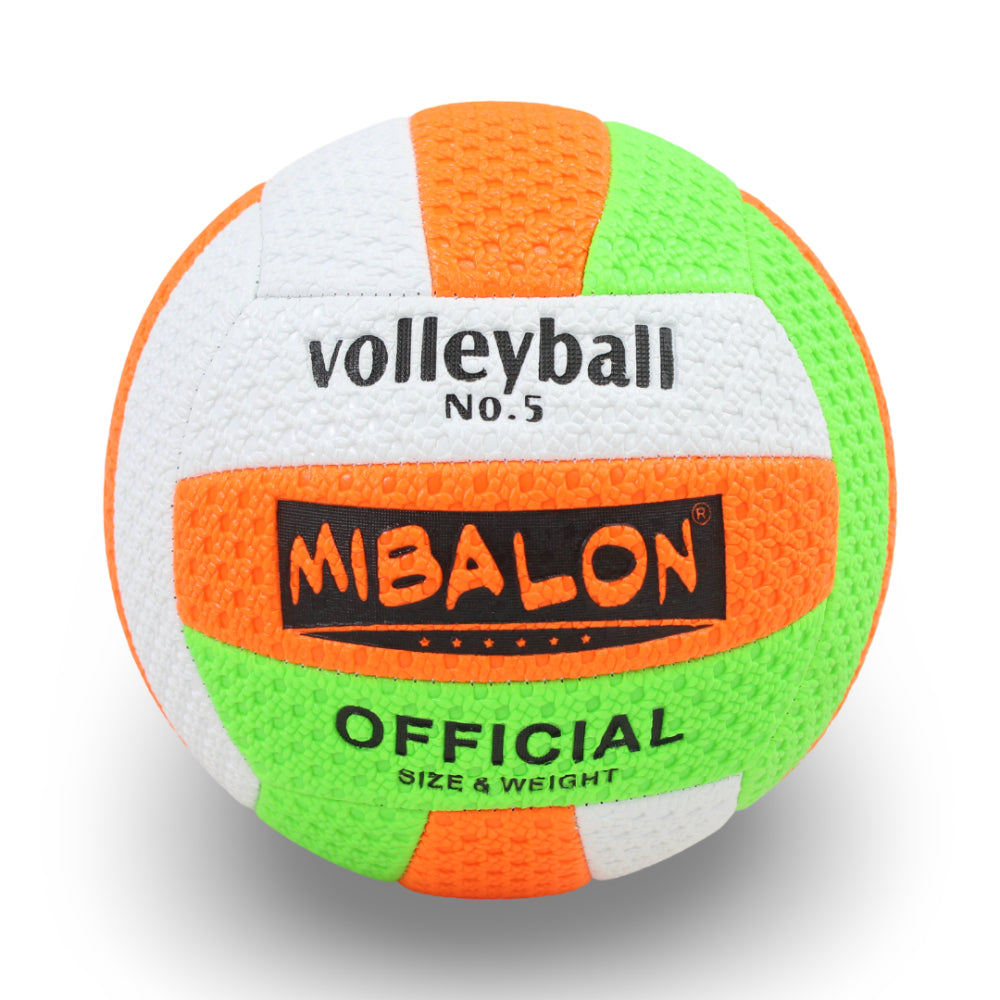 Fluorescent Volleyball