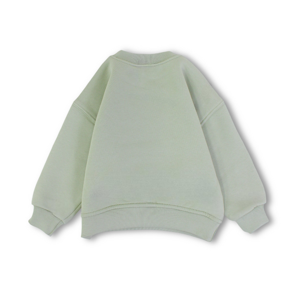 Baby Boys Sweatshirt – Mint with Boys Best Friend Print