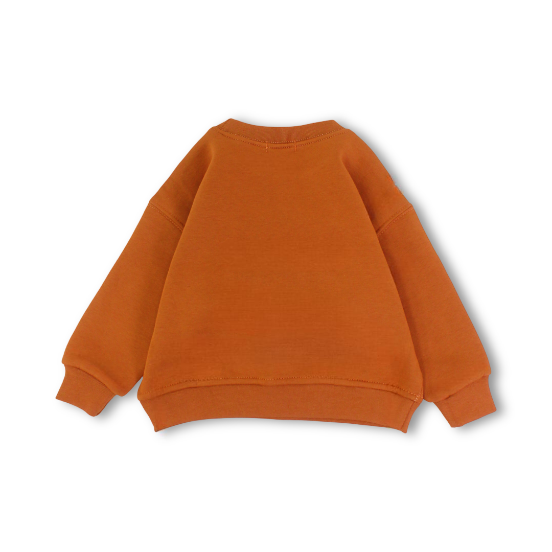 Baby Boys Sweatshirt – Brown with WILD CHILD Print