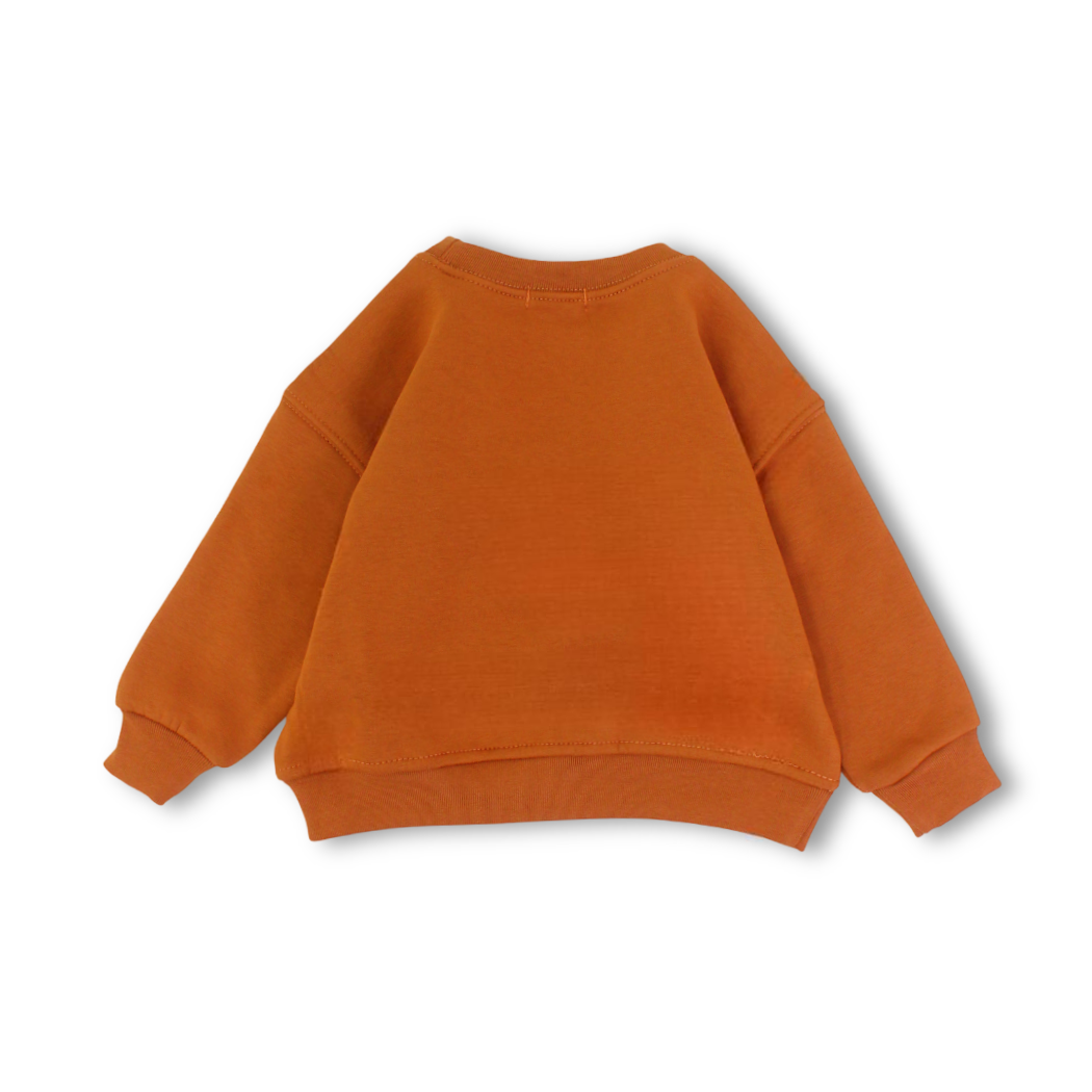 Baby Girls Sweatshirt – Brown with FLOWERS Print