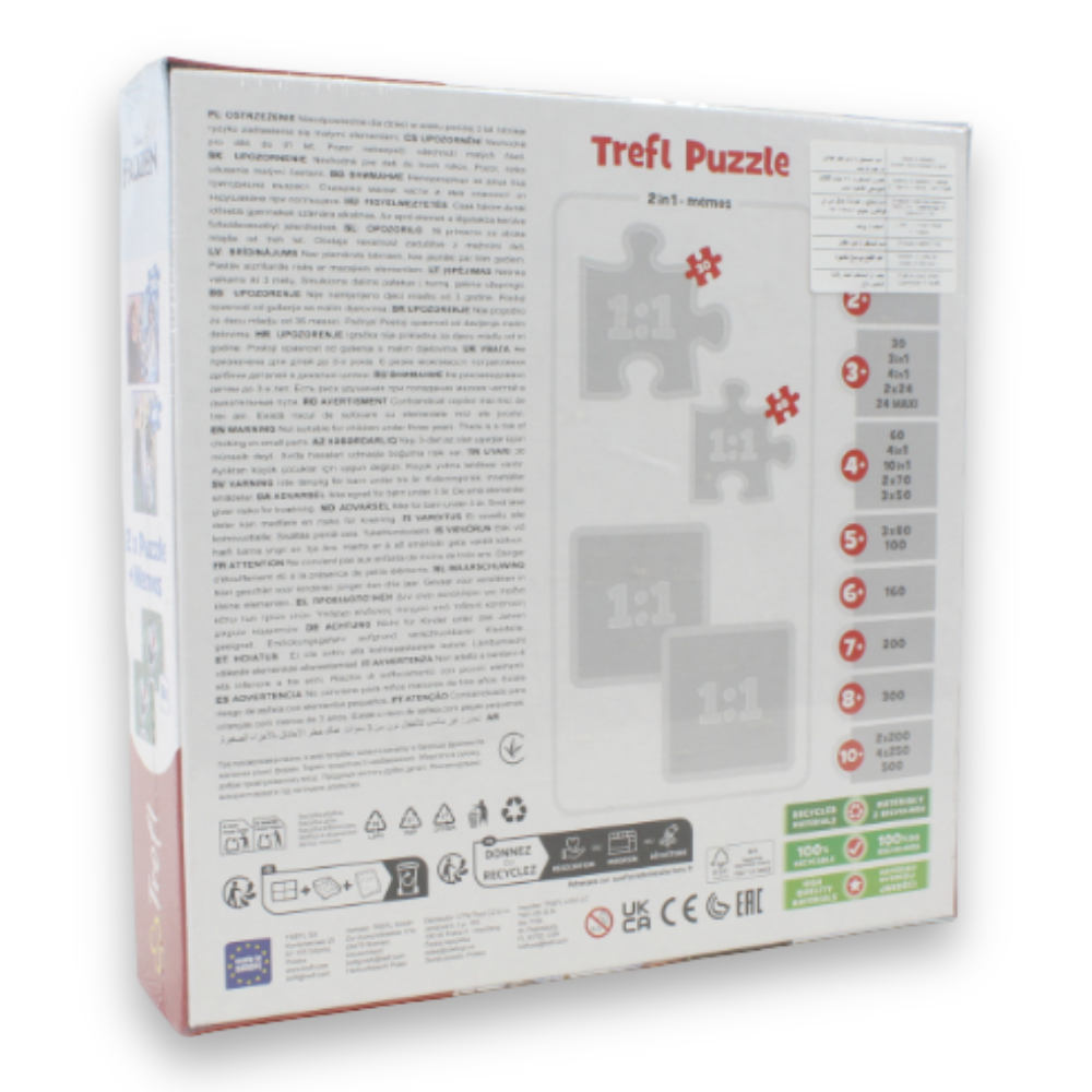 2-in-1 Memory Game