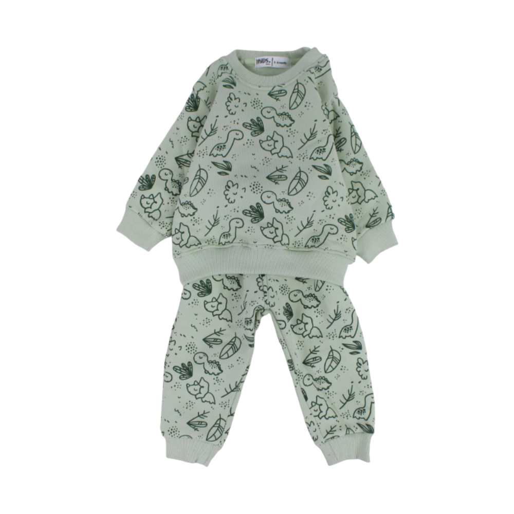 Baby Boys Long-Sleeved Pajama Set – Mint with Dinosaurs Print