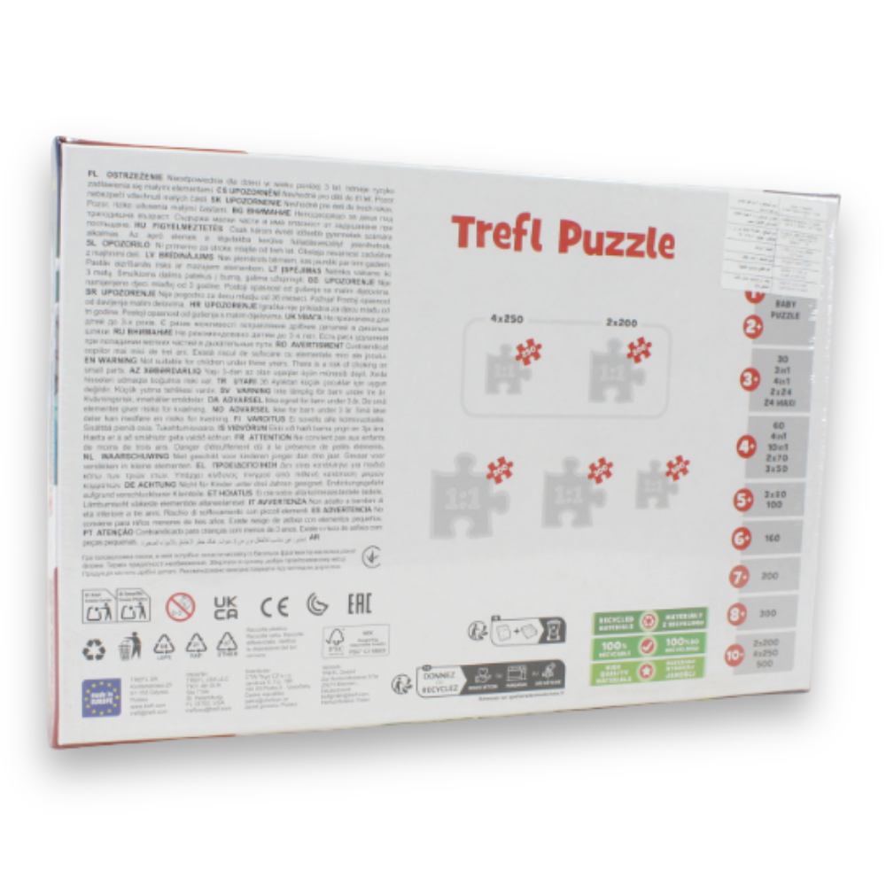 300-Piece Jigsaw Puzzle