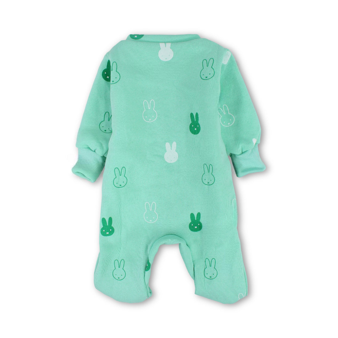 Baby Boys Long-Sleeved Baby Footie – Mint & Off-White with Bunny Print