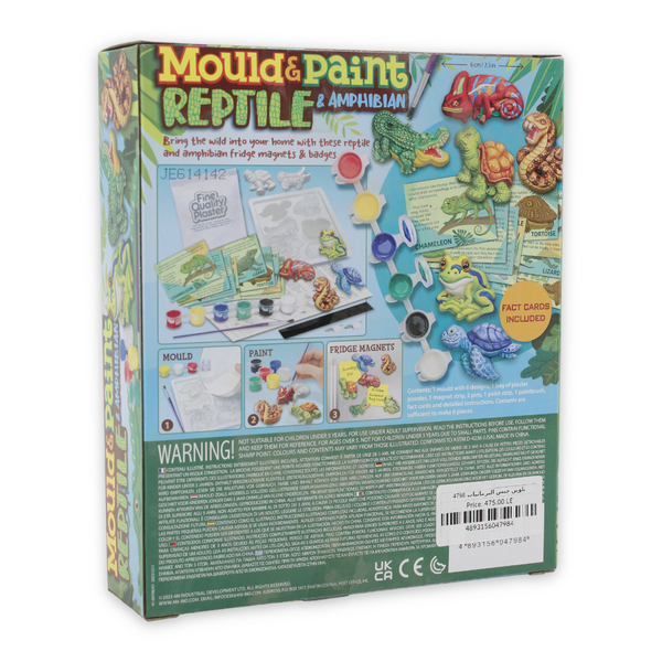 4M Amphibians Plaster Painting Kit