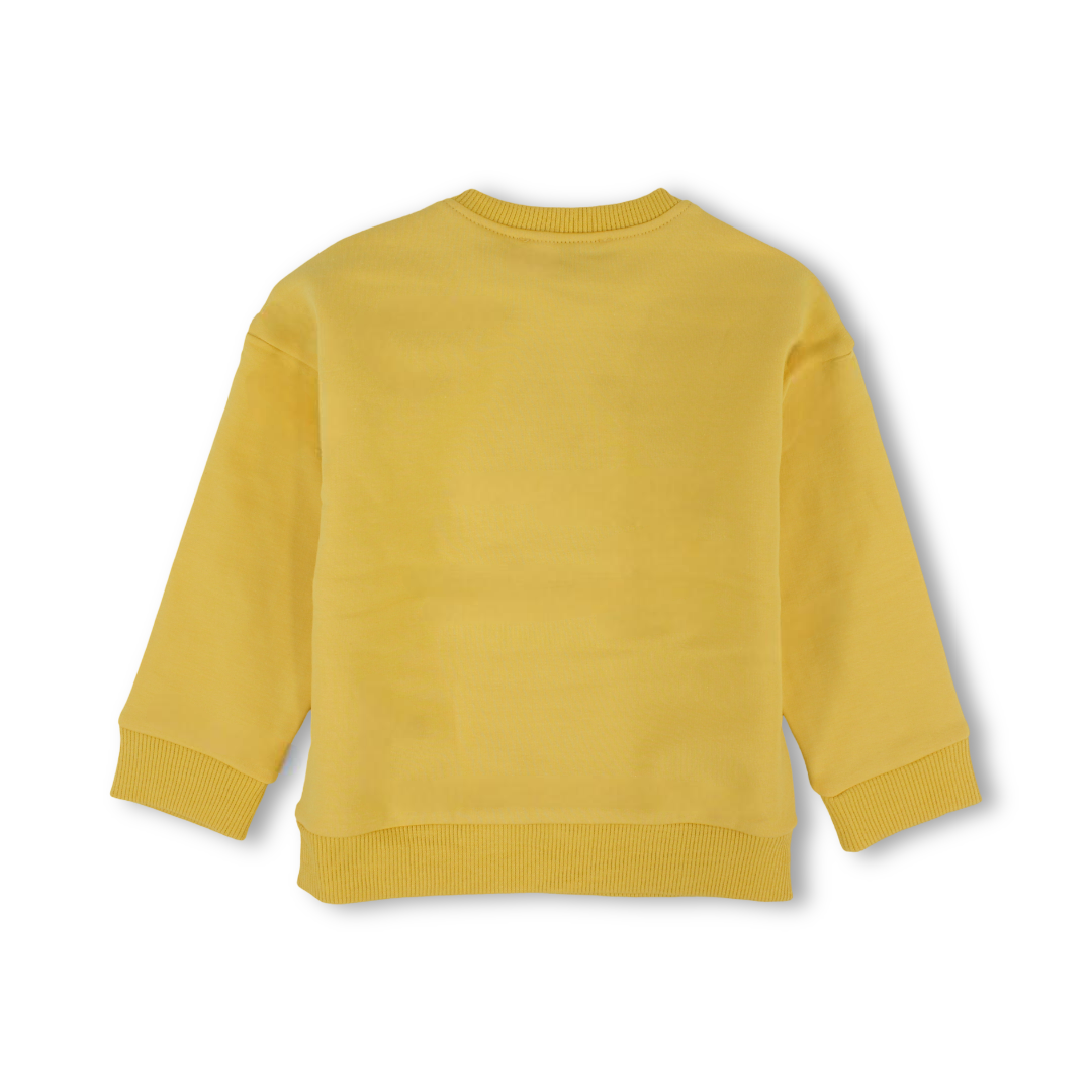 Baby Boys Sweatshirt – Yellow