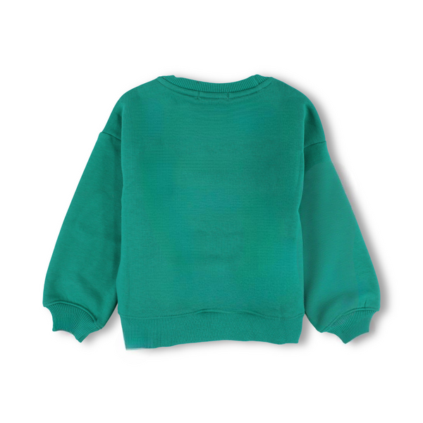 Unisex Cotton Long-Sleeved Sweatshirt – Plain Green
