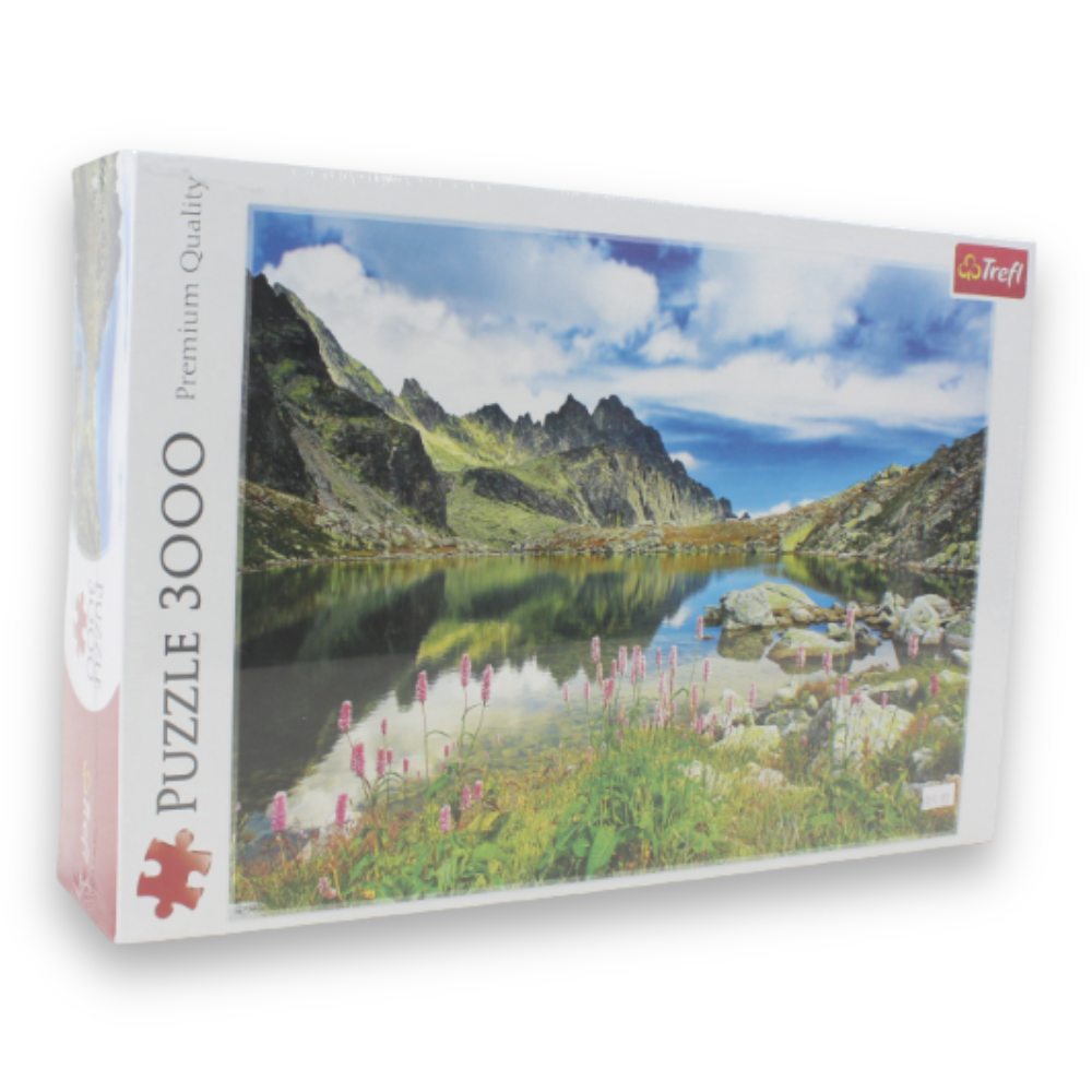 3000-Piece Jigsaw Puzzle