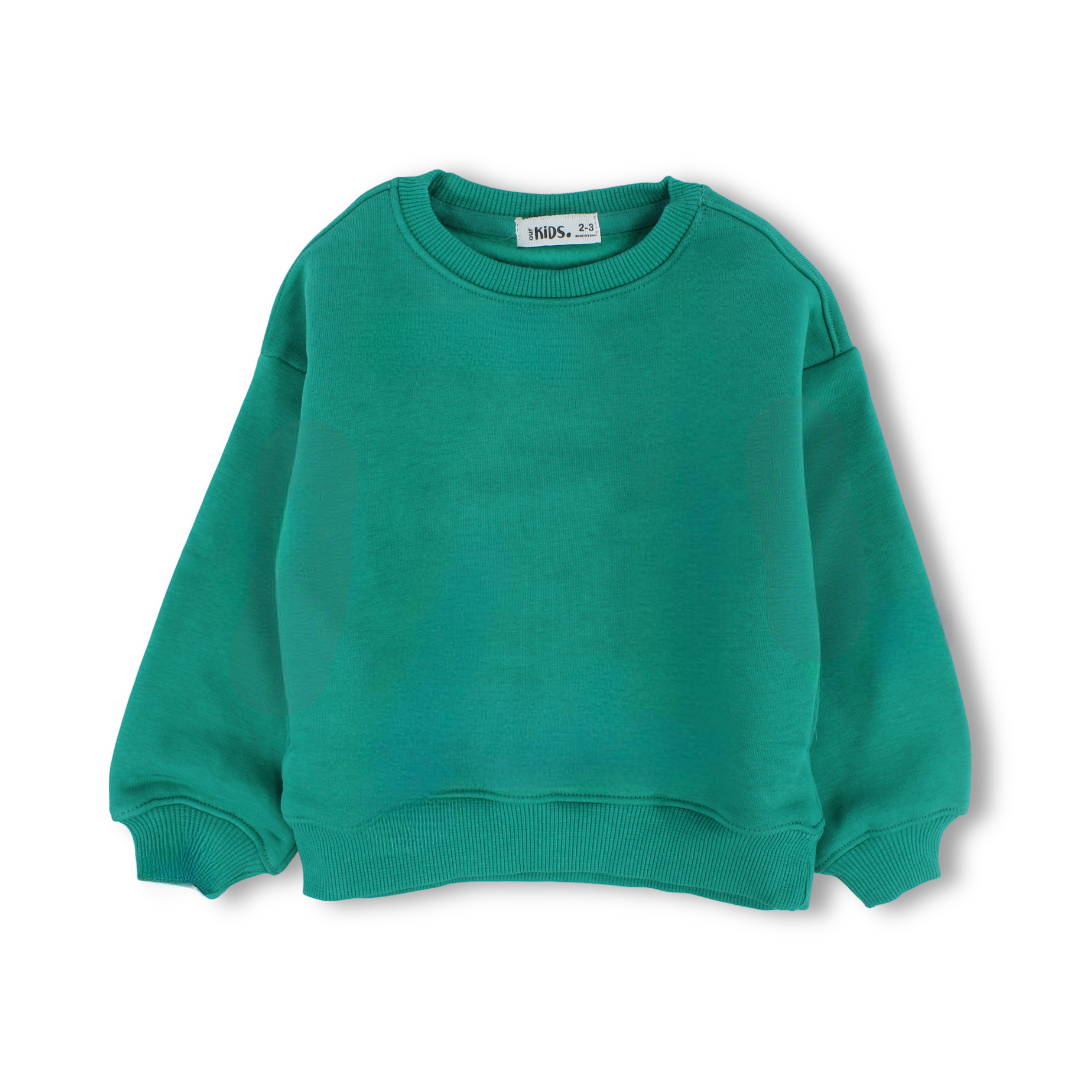 Unisex Cotton Long-Sleeved Sweatshirt – Plain Green