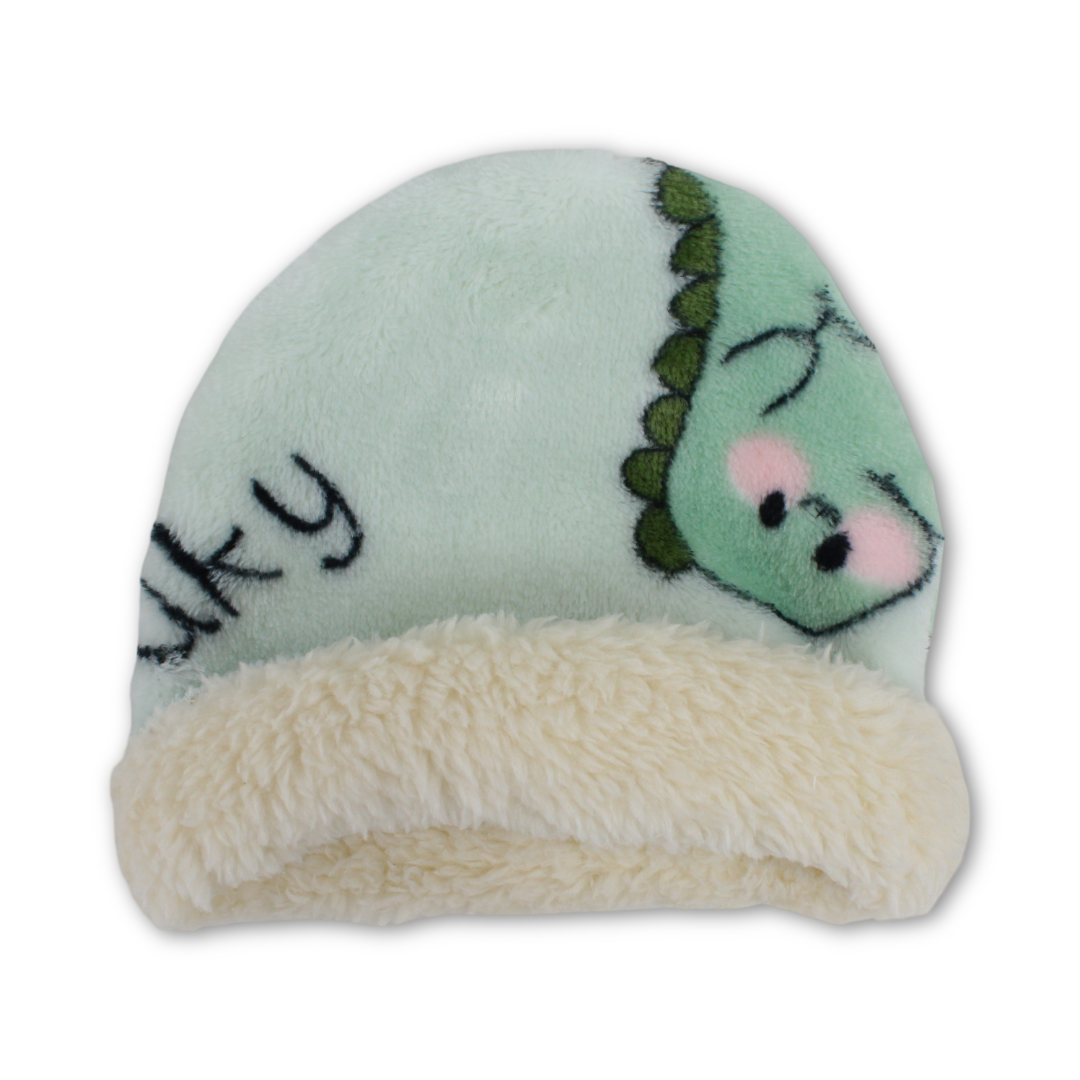 Baby Girls Beanie – Mint with Lucky Dino Print
