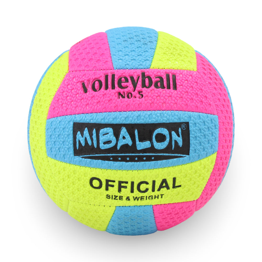 Fluorescent Volleyball