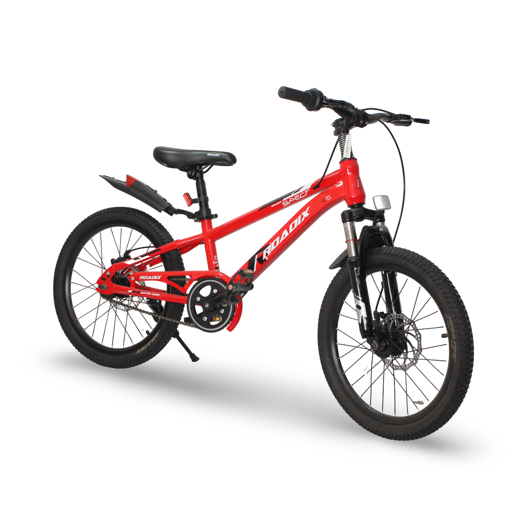 Boys Rodix Bicycle With Training Wheels – 20 Inch