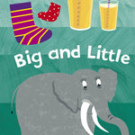 Early Learning Big and Little - Ourkids - Ladybird