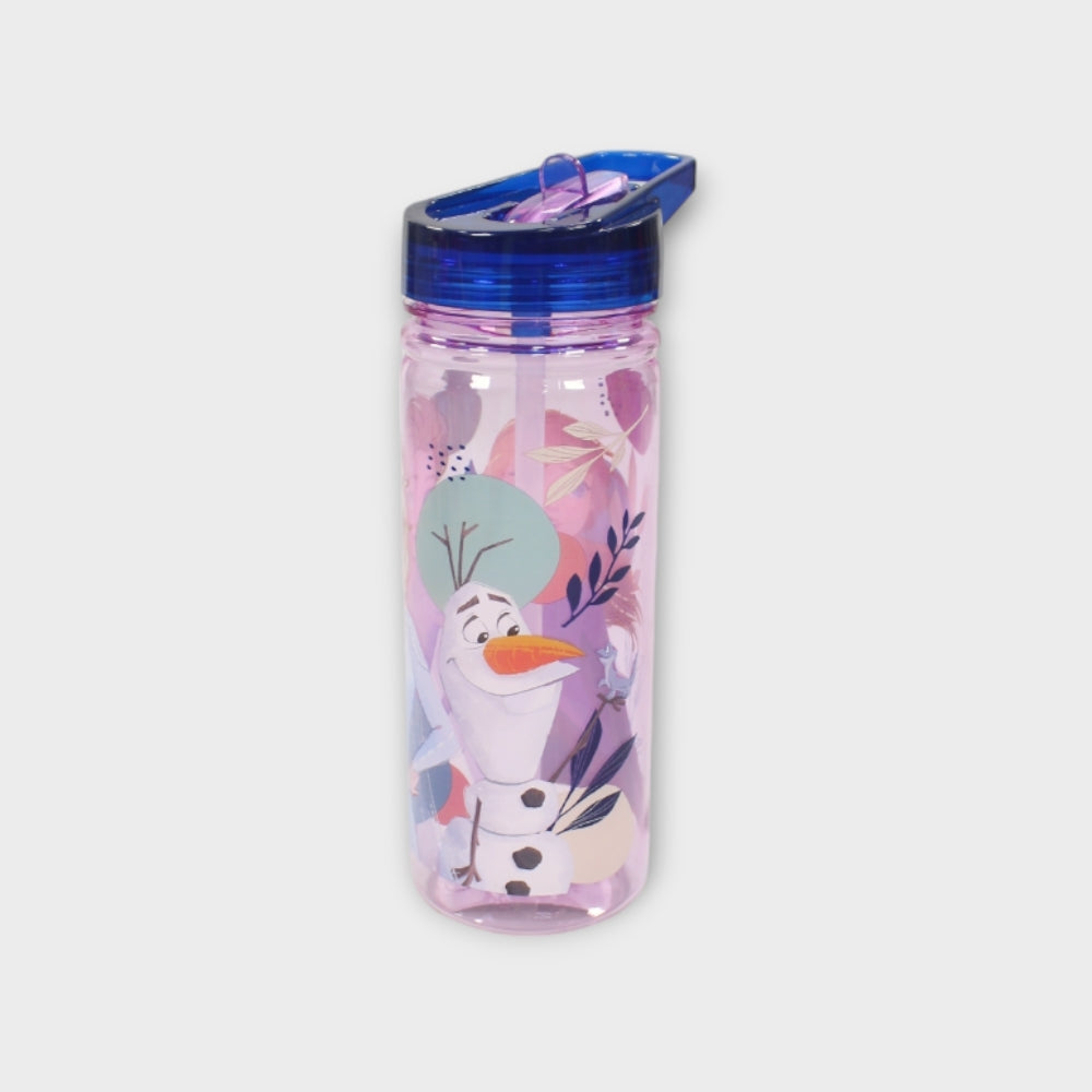 Frozen 580 ML Large Ecozen Bottle - Ourkids - Stor