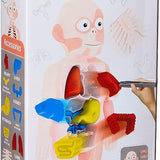 Human Body Educational Puzzle - Ourkids - OKO