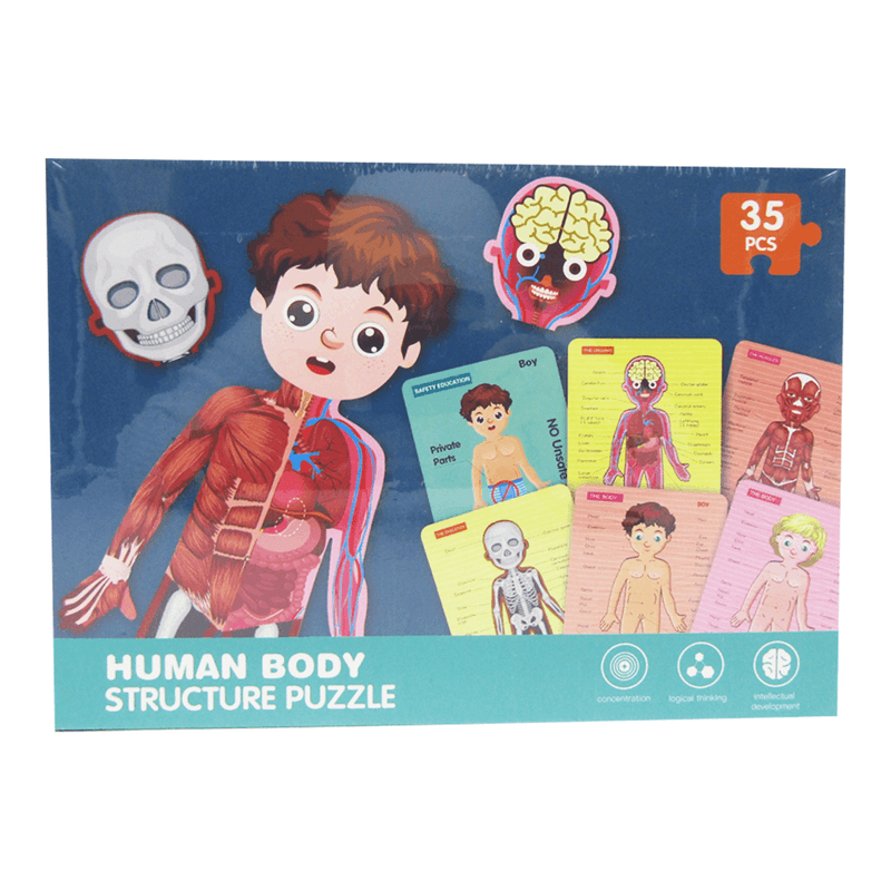 Human Body Structure Puzzle – 35 Pcs - Ourkids - OKO