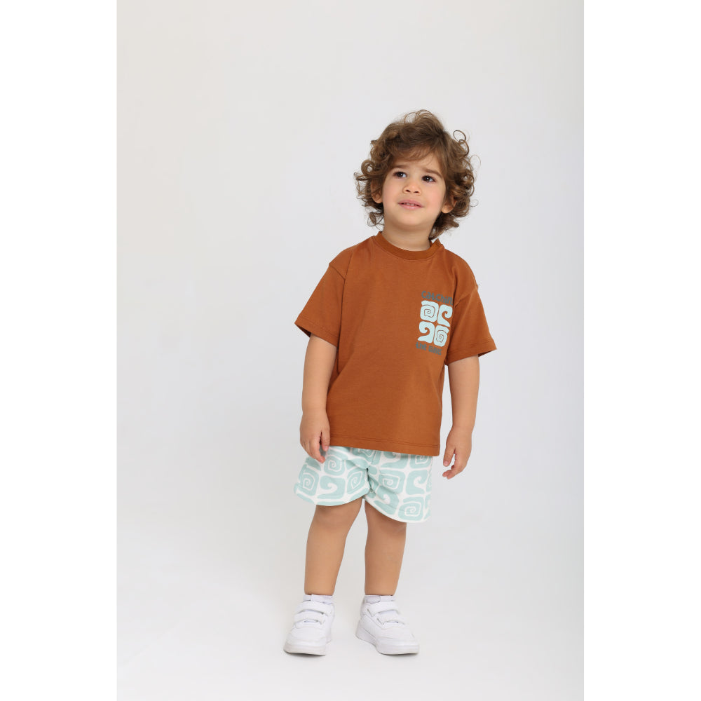 Boys Cotton Shorts – Printed Mint - Clothing - Playmore