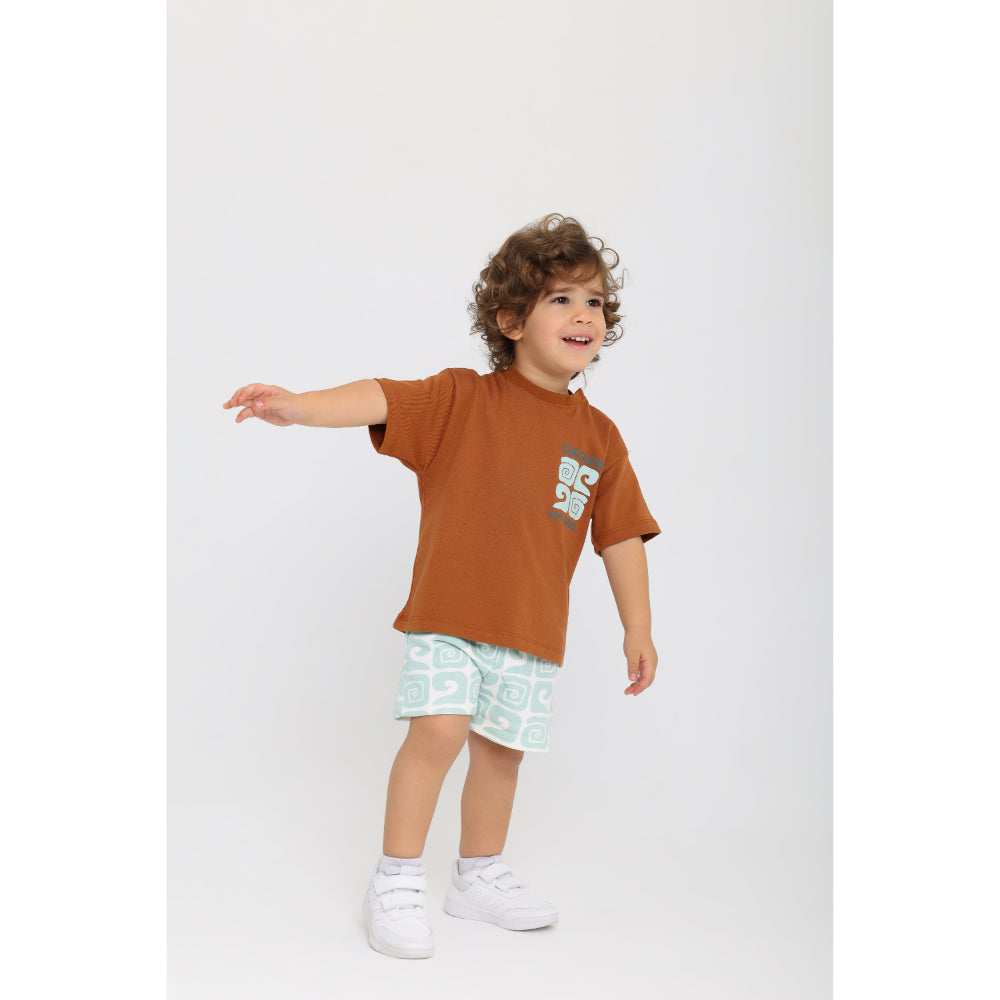 Boys Cotton Shorts – Printed Mint