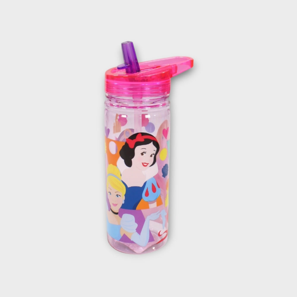 Princesses 580 ML Large Ecozen Bottle0 - Ourkids - Stor